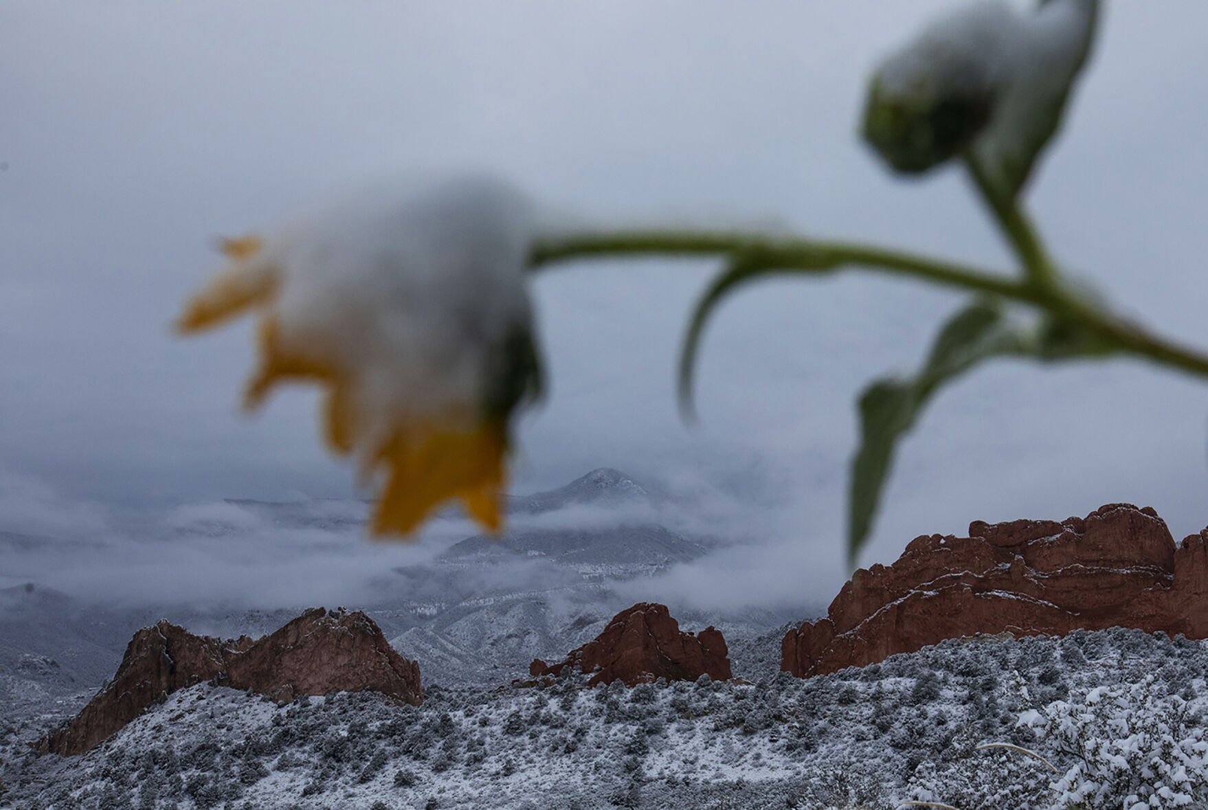 090920-news-earlysnow 07.jpg